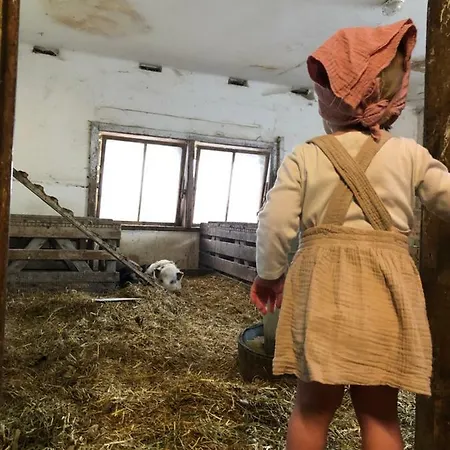 בית הארחה Bio Feistererhof - Gastehaus - Charmant Naturlich Seit 1448