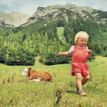 Gasthof Bio Feistererhof - Gästehaus - Charmant Natürlich Seit 1448 Ramsau am Dachstein