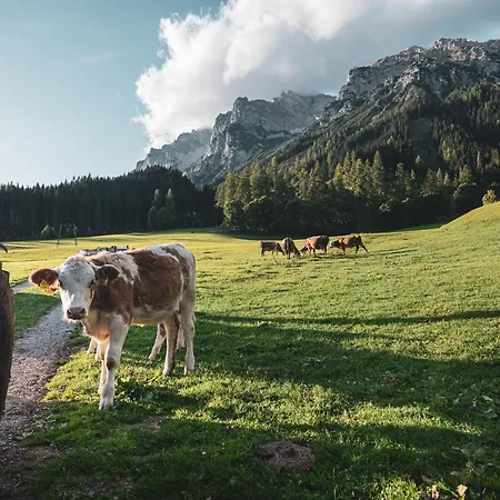 Bio Feistererhof - Gästehaus - Charmant Natürlich Seit 1448 Ramsau am Dachstein